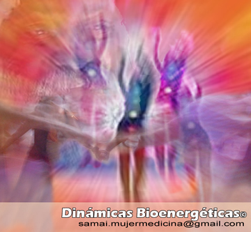Dinámicas Bioenergéticas